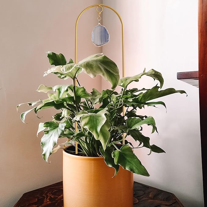 2 Pcs 16 Inch Arch Trellis with Agate and Moon Phase Trellis for Climbing Plants Gold Trellis for Potted Plants Indoor Trellis for Climbing Plants Support Small House Plant Trellis for Hoya,Flower