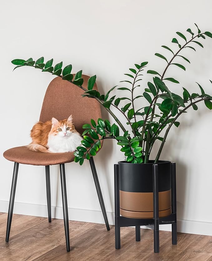 D'vine Dev Ceramic Planter with Ebony Stand - 10 Inch Modern Round Flower Pot with Wood Planter Holder, Black/Speckled Tan, 55-B-L-7