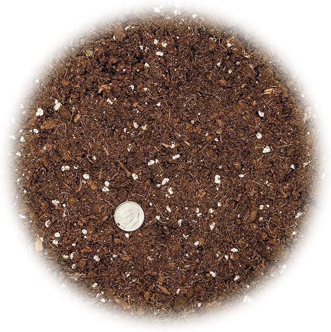 GARDENERA Premium Dracaena Potting Soil Mix - (3 Quart Bag)