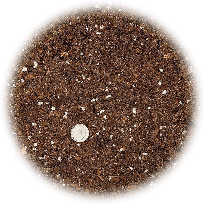 Gardenera Fiddle Leaf Fig Soil Mix - 10 Quart - Premium Blend of Peat Moss, New Zealand Bark, Coco Chips, and Perlite for All Purpose Planting - 2 Bags of 5 Quart