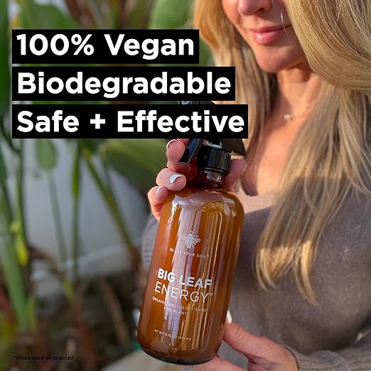 Big Leaf Energy (16 FL OZ, Glass) Organic Neem Oil Plant Spray with Essential Oils : Natural Plant Wash for Indoor Houseplants and Outdoor Gardens