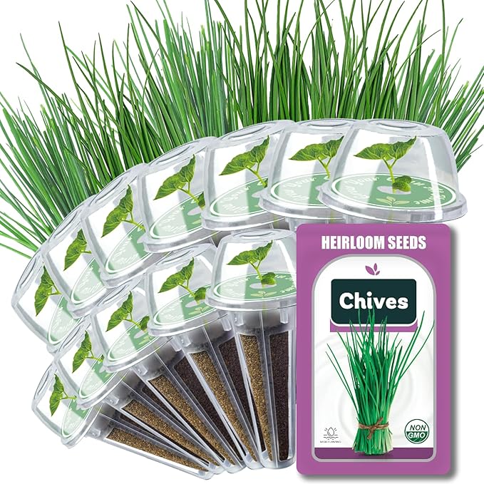 Chives Seed Pods for All Hydroponics Growing Systems, 12 Pods Herb Kit with 200+ Seeds of Chives, Grow Your Own Herb Garden at Home