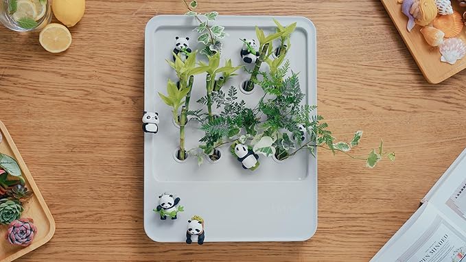 Indoor Garden Hydroponic System with LED Grow Light Indoor herb Garden, Indoor Garden Hydroponic System with LED Grow Light (Gery)