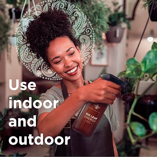 Big Leaf Energy (16 FL OZ, Glass) Organic Neem Oil Plant Spray with Essential Oils : Natural Plant Wash for Indoor Houseplants and Outdoor Gardens