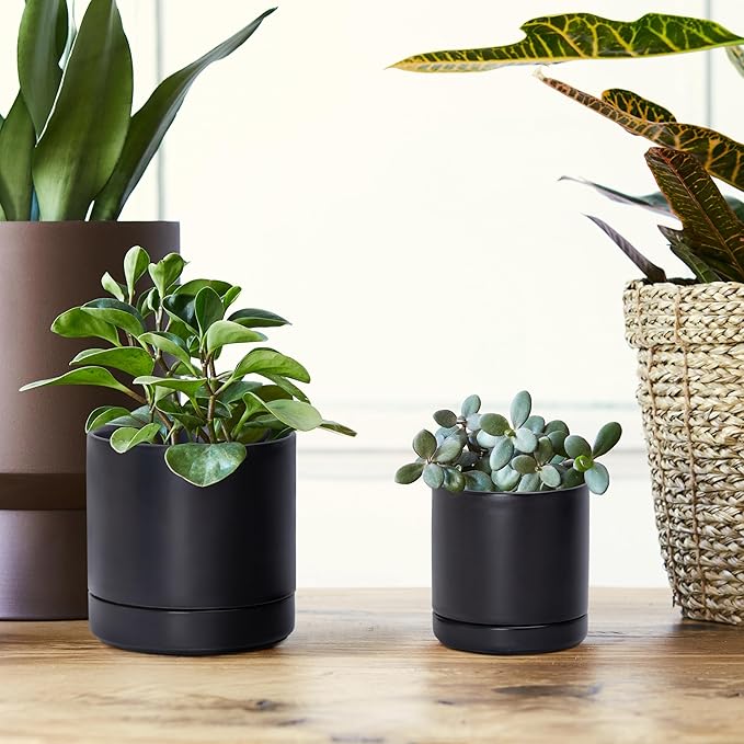 D'vine Dev 3.5 Inch & 4.7 Inch Ceramic Planter Pots for Plants with Drainage Hole and Saucer, X-Small Plant Pots Set, Black, 94-G-XS-2