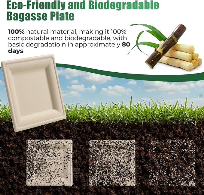 300Pcs Disposable Paper Plates Set, Compostable Plate Sugarcane Utensils Eco Friendly Dinnerware Kit Includes 50 Biodegradable Plates, Forks, Knives Napkins and Spoons for Brithday Party Camping