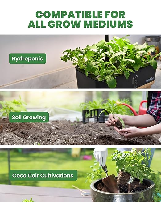 RainPoint Hydroponic Nutrients A&B (800ml in Total), Plant Food A&B for Indoor Hydroponics Growing System, Hydroponics Fertilizer for Growing Vegetables, Fruits, and Flowers