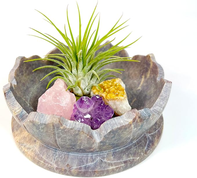 Lotus Carved Stone Bowl with Small Amethyst, Rose Quartz, Citrine Crystals and Air Plant – Mindfulness Decor for Yoga Meditation Enthusiasts, Crystal Collector