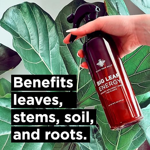 Big Leaf Energy (16 FL OZ) Organic Neem Oil Spray for Plants + Essential Oils : Ready to Use Plant Wash for Indoor Houseplants & Outdoor Gardens, Natural Leaf Shine