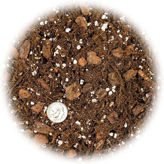 Premium Gardenera House Plant Potting Mix | Fern + New Zealand Bark + Perlite | Great for Pothos, Spider Plants, Montsera, Philodendron, English Ivy - 4 Quart Bag