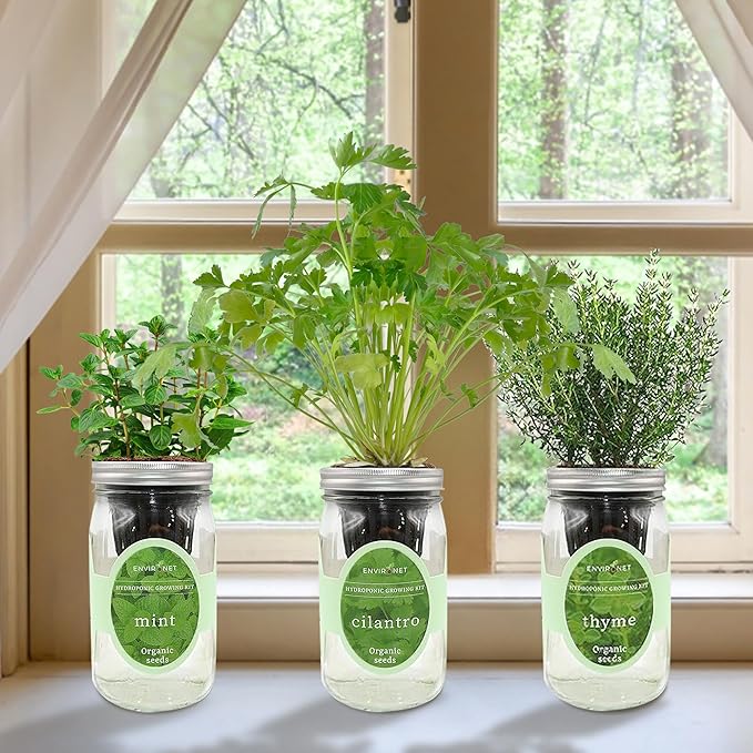 Hydroponic Growing Kit Set, Self-Watering Mason Jar Herb Garden Starter Kit Indoor, Window Herb Garden, Grow Your Own Herbs from Organic Seeds (Mint, Cilantro and Thyme)