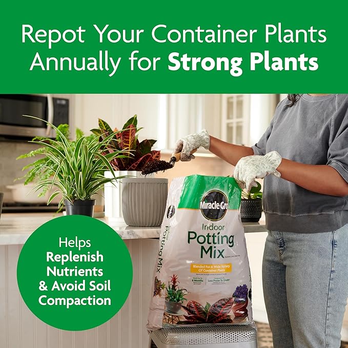 Miracle-Gro Indoor Potting Mix, Blended for a Variety of Houseplants, Feeds for up to 6 Months, 16 qt., 2-Pack