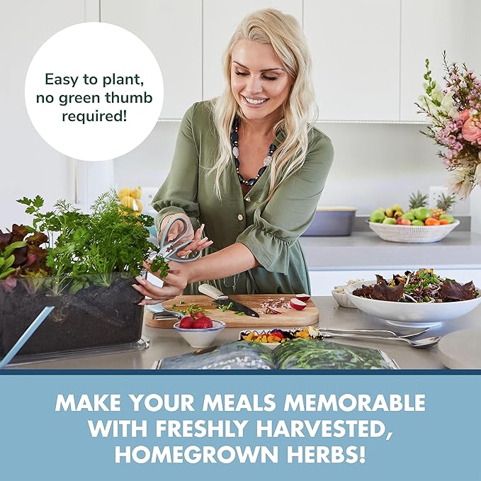 Indoor Herb Garden Starter Kit - Heirloom, Non-GMO Herb Seeds - Basil Thyme Parsley Cilantro Seed, Potting Soil, Pots, Scissors - DIY Grow Kits for Growing Herbs Indoors, Kitchen, Balcony, Window Sill