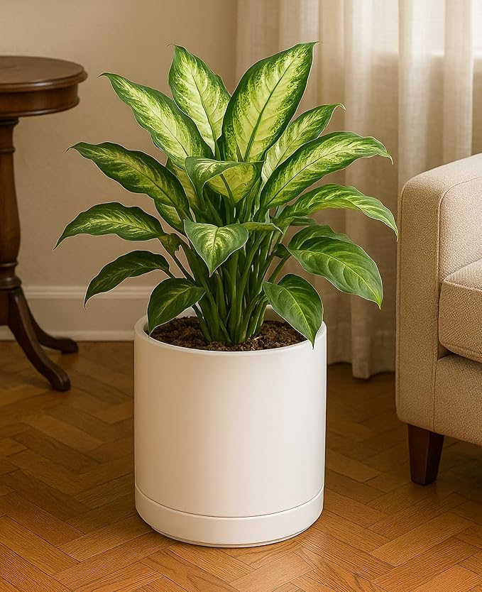 D'vine Dev 10 Inch Ceramic Planter Pot with Drainage Hole and Saucer, Indoor Cylinder Round Planter Pot, Oatmeal, 94-O-E-8