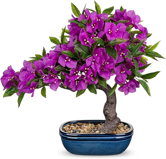 Briful Artificial Bougainvillea Bonsai Tree 18.5" Silk Bougainvillea Plant with Blue Pot Fake Bougainvillea Floral Tree for Home Office Room Desk Shelf Zen Décor(Purple)
