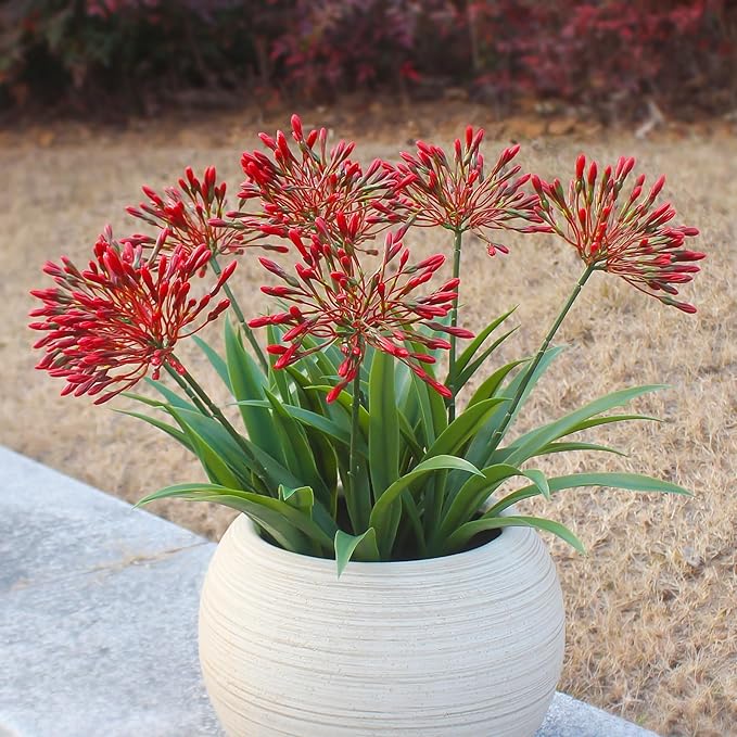 Artificial Flowers for Outdoors 18.9 in Large Fake Plants Outdoor Red Flower Agapanthus Spring Summer Decoration Outside for Front Porch Garden Window Box Decortion