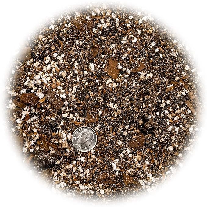 GARDENERA Premium Spider Plant Potting Soil Mix - (4 Quart Bag)