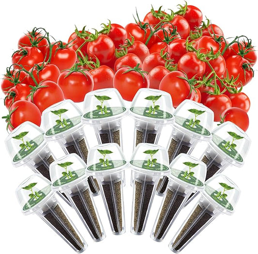 Cherry Tomato Seed Pods Kit for Hydroponics, 12 Pods Grow Anything Kit for Indoor Hydroponics Growing System, Hydroponics Supplies with 12 Grow Sponges, 12 Plant Baskets, 12 Pod Domes and Labels
