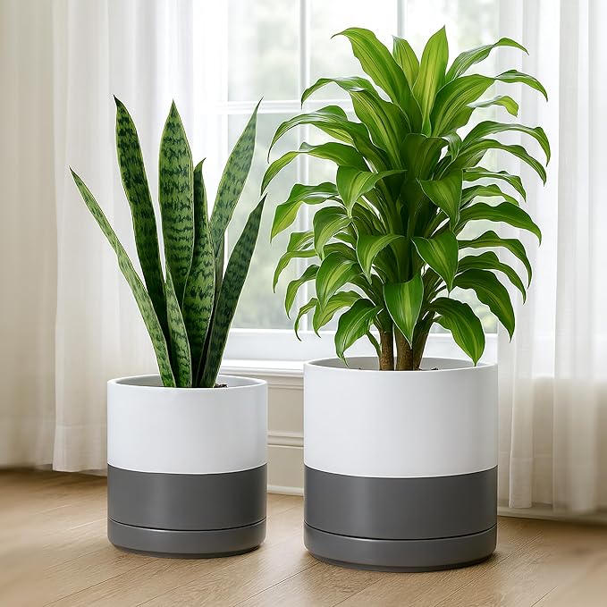 D'vine Dev 8.2 Inch & 10 Inch Ceramic Planter Pot for Plants with Drainage Hole and Saucer, Large Plant Pots Set, White/Speckled Grey, 94-G-L-6