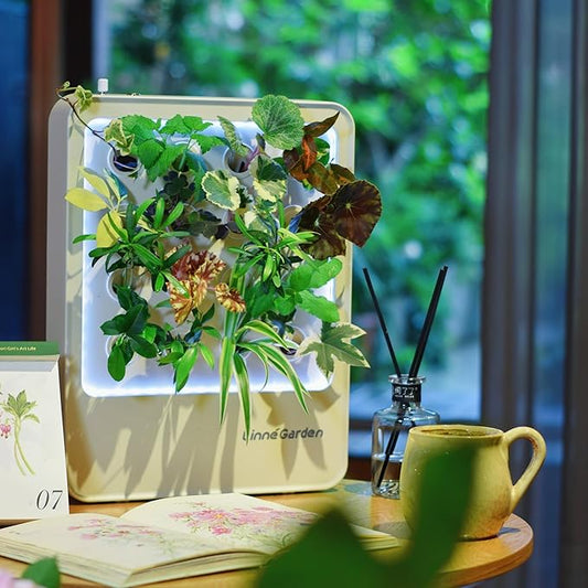 Indoor Garden Hydroponic System with LED Grow Light Indoor herb Garden, Indoor Garden Hydroponic System with LED Grow Light (Gery)