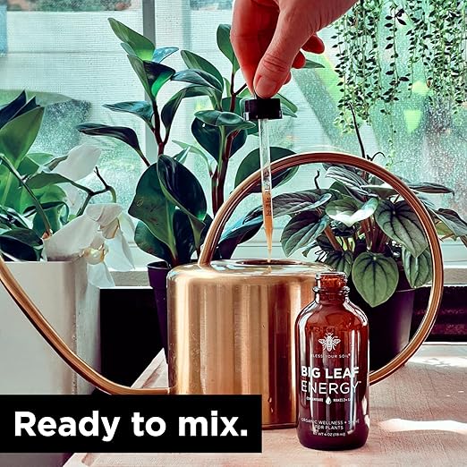 Big Leaf Energy, Neem Oil Concentrate + Essential Oils for Plants and Leaf Care - Organic, Non-GMO, Ready to Mix, Multi-Purpose Leaf Wellness (Makes 32-90 gallons)