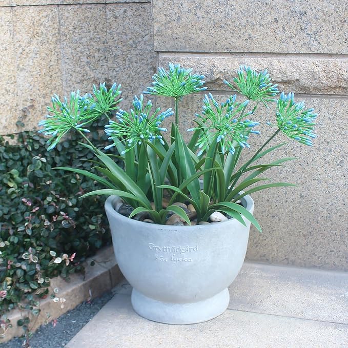 Artificial Agapanthus Africanus Fake African Lily Blue Flowers Fake Plants Outdoor Spring Summer Decoration Realistic Faux Greenery for Front Door Porch Planter Decor