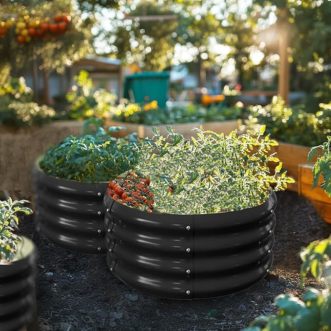 SUNYRISY 3 Pcs Galvanized Raised Garden Bed with Tomato Cages Trellis, Metal Outdoor Planter Garden Box with Plant Stakes Support for Climbing Plants Gardening Flowers Vegetables Herbs, Black