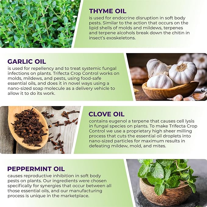 Trifecta Crop Control Ready to Use Maximum Strength Natural Pesticide, Fungicide, Miticide, Insecticide, Help Defeat Spider Mites, Powdery Mildew, Botrytis and Mold on Plants 32 OZ Size