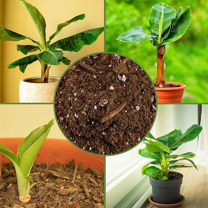 Banana Tree Potting Soil Mix (12 Quarts) – Hand-Blended Indoor/Outdoor Mix for Healthy Banana Plants – Enhances Drainage & Root Support – Made in USA