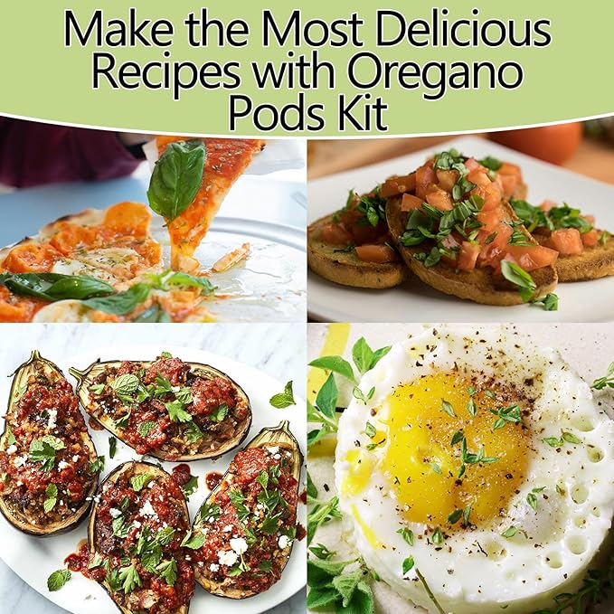 Oregano Seed Pods for All Hydroponics Growing Systems, 12 Pods Herb Kit with 600+ Seeds of Oregano, Grow Your Own Herb Garden at Home