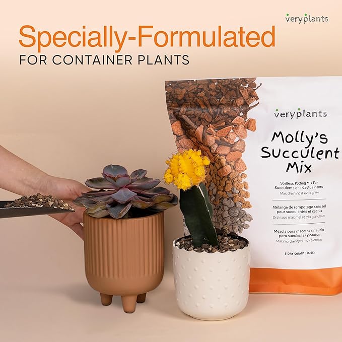 Molly's Succulent Mix - Premium Gritty Soilless Potting Mix for Succulents, Cactus and Bonsai - Contains Akadama, Hyuga, Bark Fines, Pumice, Lava Rock, Mycorrhizae 3 Dry Quarts