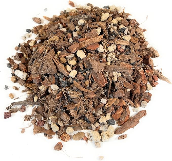 Molly's Orchid Potting Mix - Premium Gritty Soilless Orchid Mix - Chunky High Drainage vs Standard Potting Soil for Indoor Plants - Contains Bark, Coco Chips, Akadama, Pumice, Lava Rock 10 Dry Quarts