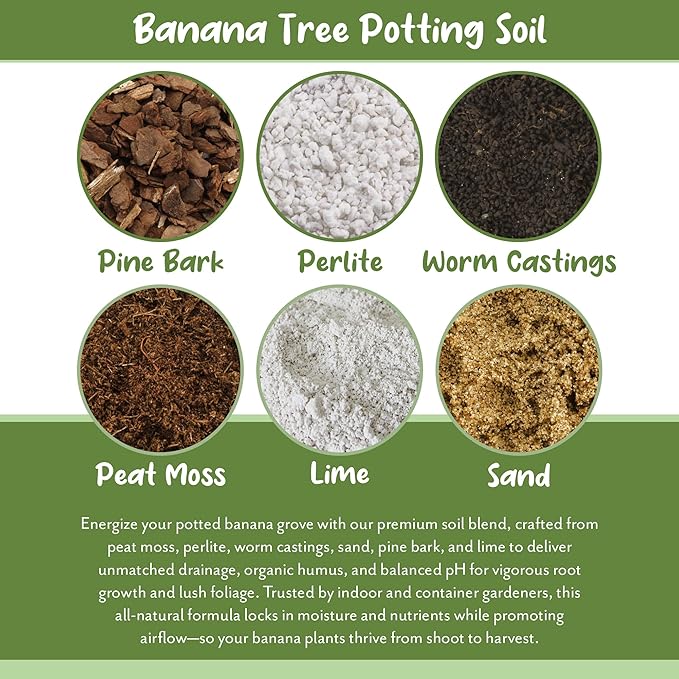 Banana Tree Potting Soil Mix (12 Quarts) – Hand-Blended Indoor/Outdoor Mix for Healthy Banana Plants – Enhances Drainage & Root Support – Made in USA