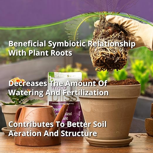 Myco Bliss Powder (200 g) - Mycorrhizal Fungi for Plants - 5 Strain Mycorrhizal Inoculant with 1000 Propagules Per Gram - Highly Concentrated Mycorrhizae for Plants, Gardening, & Potting Soil