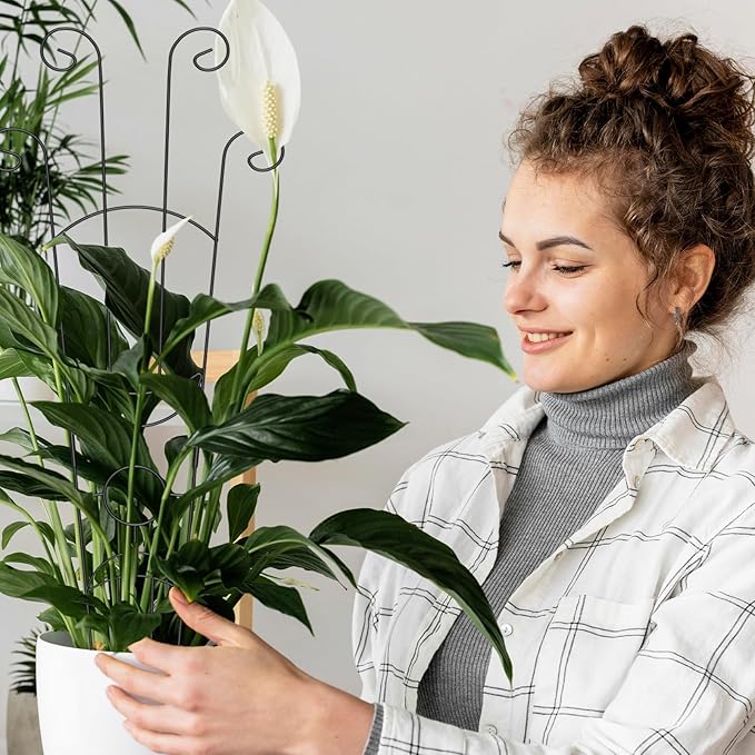 2 Pack 32.6'' Taller Plant Trellis for Climbing Plants Indoors & Outdoor, Garden Metal Trellis Plant Support for Potted Plants, Houseplants, Flowers Vine, Ivy, Pothos, Monstera