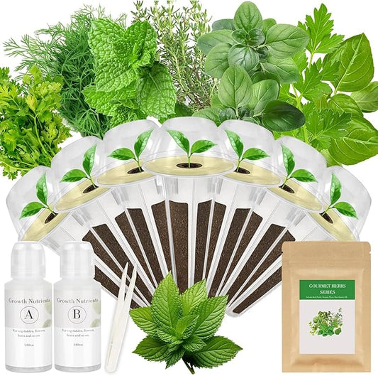 Gourmet Herb Seed Pod Kit for AeroGarden, idoo, Ahopegarden, MUFGA with Basil, Parsley, Thyme, Mint, Cilantro, Dill, Oregano - Compatible with All Hydroponics (7-Pod)