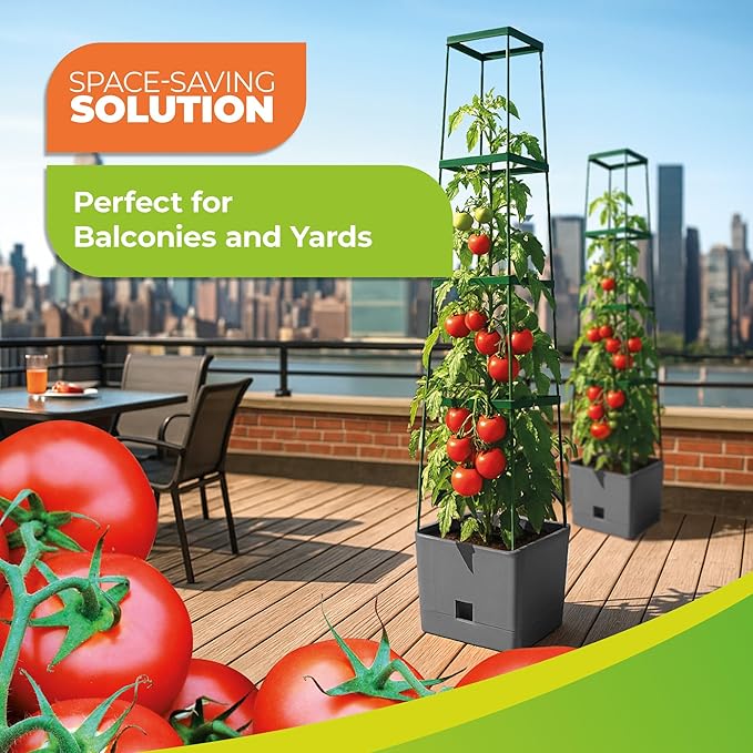 Bio Green 2 Pack Garden Tomato Planter MAXITOM, with Plant Support Trellis 59 inch and Self Watering, 4,2 Gal Planter Box for Climbing Vegetables Plants, Gray