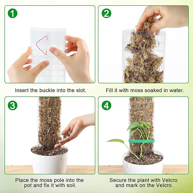 Bonviee 2 Pcs 15 Inch + 2 Pcs 24 Inch Plastic Moss Poles for Monstera – D-Shaped Plant Support for Climbing Vines, Compatible with Sphagnum Moss, Includes 2 Garden Ties