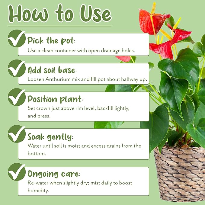 Anthurium Plant Potting Soil Mix (4 Quarts), Indoor Houseplant Custom Blend for Flowering Anthuriums