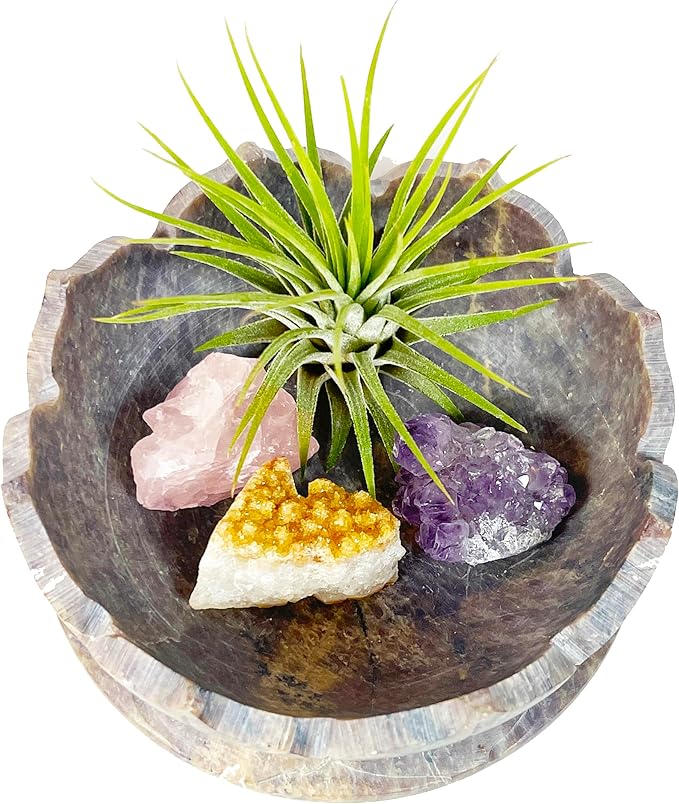 Lotus Carved Stone Bowl with Small Amethyst, Rose Quartz, Citrine Crystals and Air Plant – Mindfulness Decor for Yoga Meditation Enthusiasts, Crystal Collector