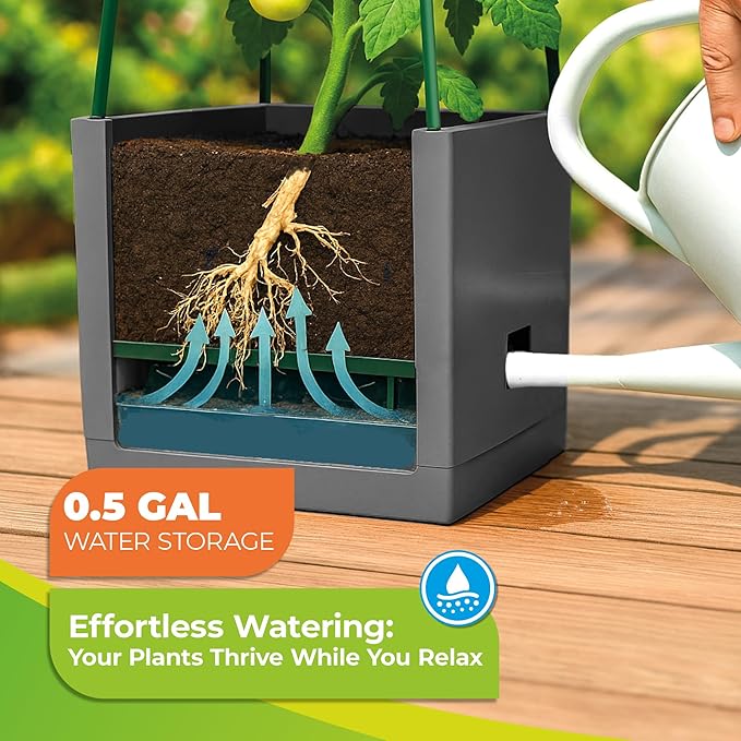 Bio Green 2 Pack Garden Tomato Planter MAXITOM, with Plant Support Trellis 59 inch and Self Watering, 4,2 Gal Planter Box for Climbing Vegetables Plants, Gray