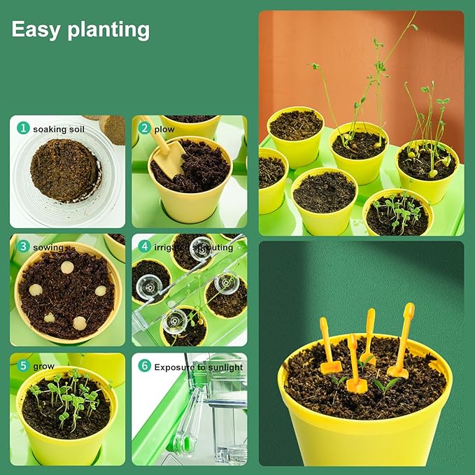 Kids Gardening Greenhouse Growing Kit with Weather Observation Kids Terrarium kit Science Educational DIY Indoor Plant Toy