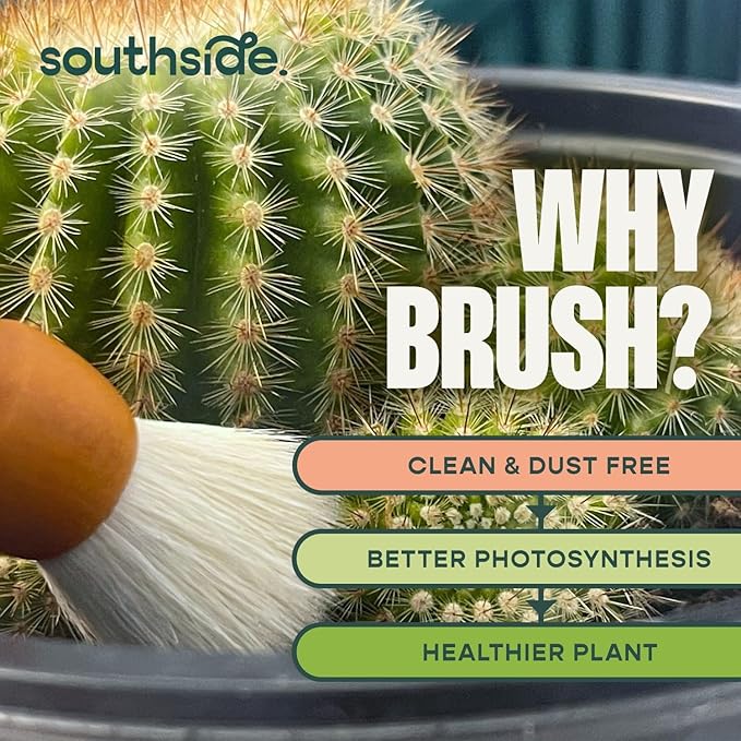 Southside Plant Cactus & Succulent Plants Cleaning Brushes - Wooden Handles w/Soft Goat Hair Bristles - Garden Cleaning Tools, Gentle on Plants, 7" & 3.2" Sizes - Pack of 2