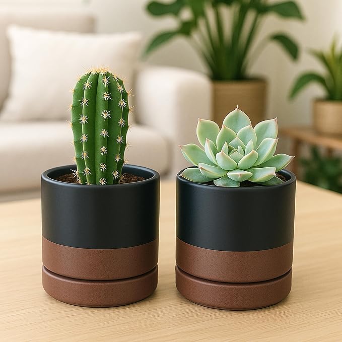 D'vine Dev Set of 4 Small Ceramic Plant Pots, 4.7 Inch Succulent Planter Pot for Plants with Drainage Hole and Saucer, Black/Speckled Tan, 94-X-B-7