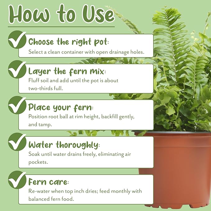 Fern Plant Potting Soil Mix (8 Quarts), Custom Hand Blended Mixture for Indoor/Outdoor Container Gardening