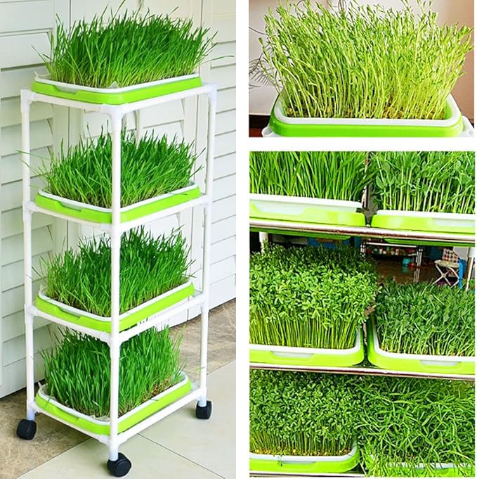 4 Layers Sprout Trays with Extra Strength Plastic Shelf Soil-Free Healthy Wheatgrass Seeds Grower & Storage Trays for Garden Home Office