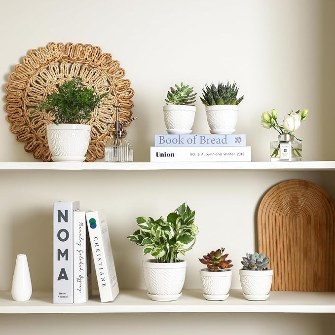 Sureasy Succulent Pots, 3.5 Inch Flower Pots for Indoor Plants, Small Plant Pots with Saucer & Drainage, Decorative Ceramic Planters for Succulent, Cactus, Set of 4, White