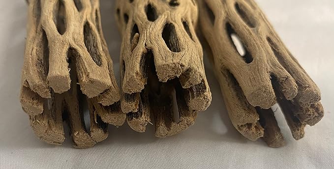 Awesome Aquatic Natural Cholla Choya Wood 5 Pieces 6” for Shrimp Habitat and Food Treat Hermit Crabs Plecos Aquarium Decoration Lowers pH Hideouts and Chew Toys Reptiles Thorn Free Dried Organic