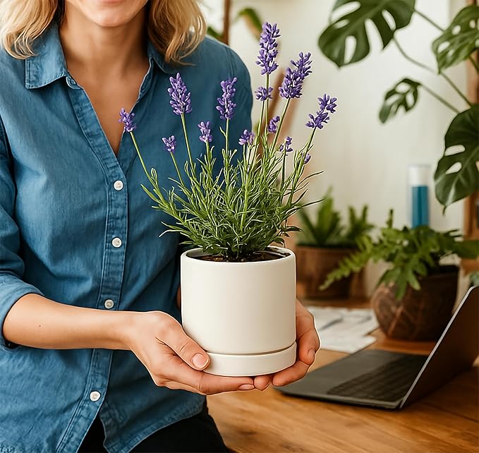 D'vine Dev Set of 2 Plants Pot, 4.7 Inch Ceramic Planter Pot for Plants with Drainage Hole and Saucer, White, 94-V-B-1