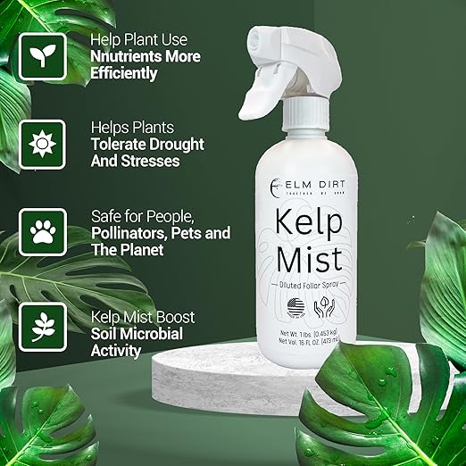 Elm Dirt Kelp Mist 100% Organic Plant Spray - Foliar Spray for Plants Food Indoor House Plants & Outdoor Plant Food | Help Plant Nutrients Efficiently & Boost Soil Activity - Kelp Foliar Mist (16 oz)